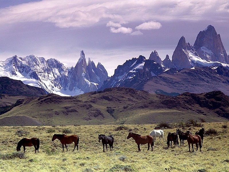 Fitz Roy, en.wikipedia.org