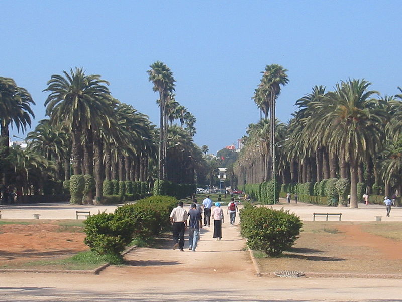 Casablanca, en.wikipedia.org
