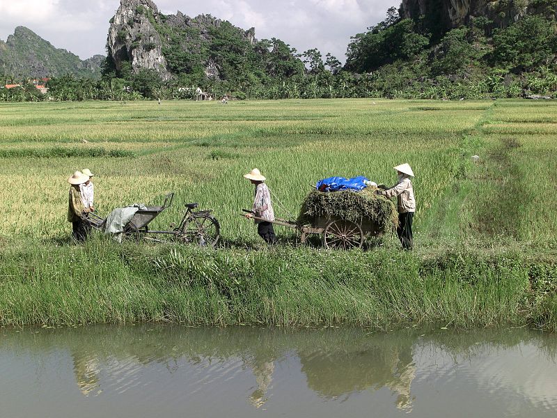 Vietnam