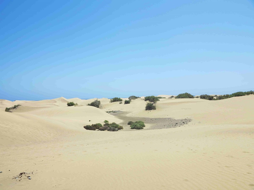 Duny v Maspalomas