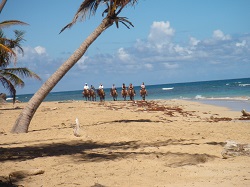 Punta Cana