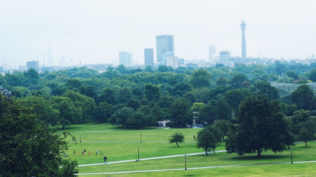 Primrose Hill