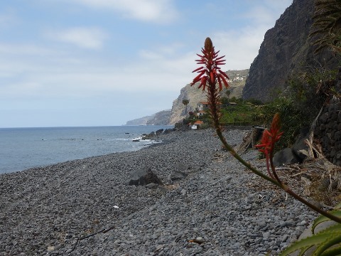 Madeira, en.wikipedia.org