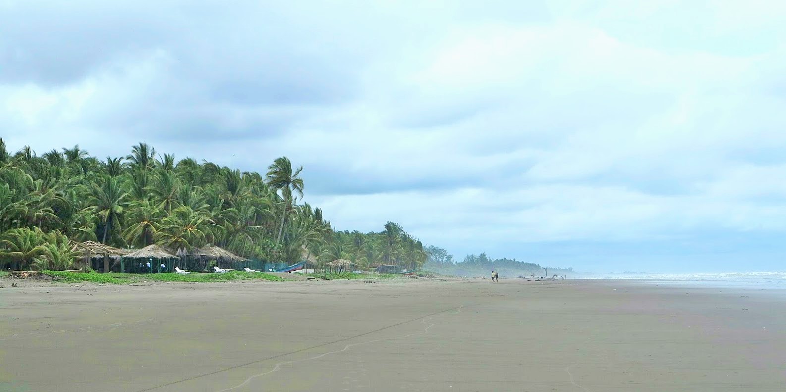 La Tortuga Verde a Playa El Cuco