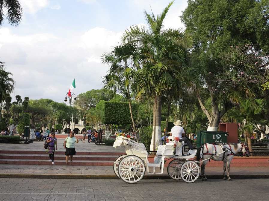 Merida