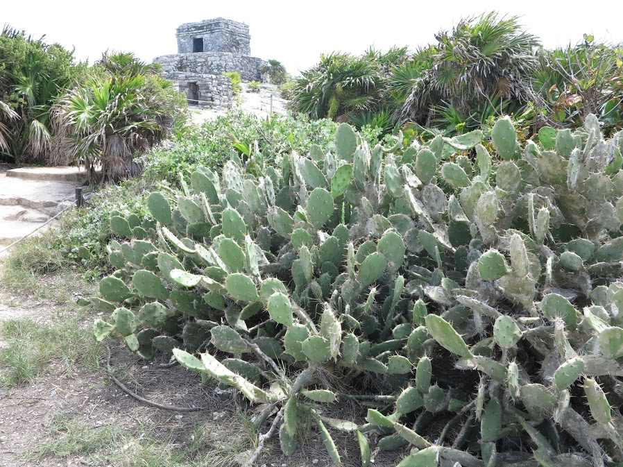 Ruiny Tulum