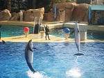 Marineland