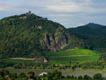 Drachenfels