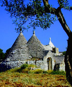 trulli-puglia-ulivo