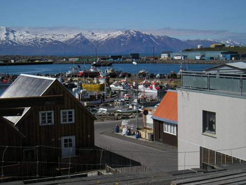 husavik