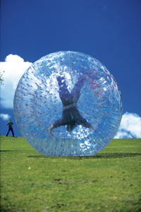 zorb