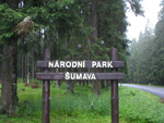 narodni-park-sumava
